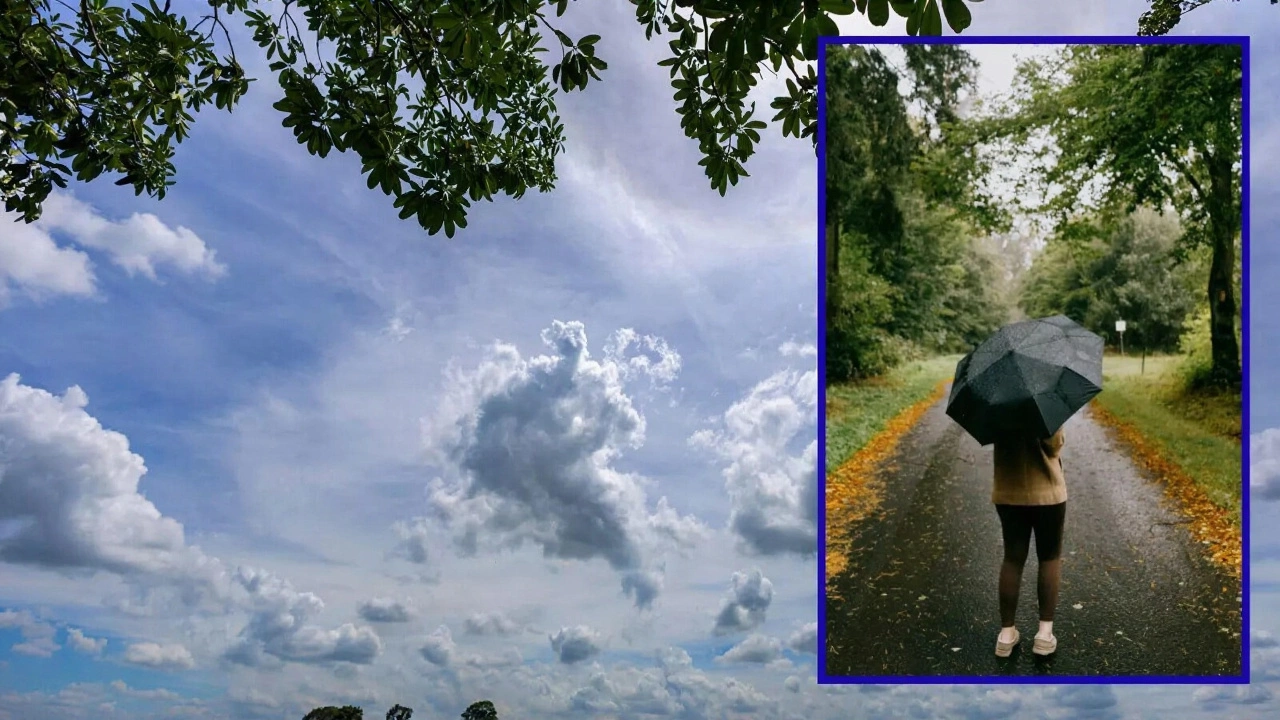 What You Need to Do Right Now